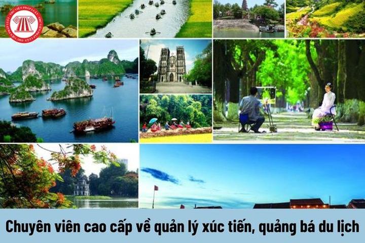 Từ