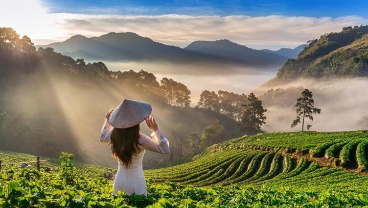 Xu hướng Nữ diễn viên Đẹp hơn thiên: Hotspot Matrix tiết lộ bí quyết video viral