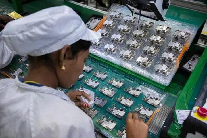 Loại cá được khen