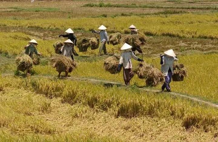 Sốc nặng với